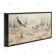 Valerie Rogers | Kildeer Birds Stepping