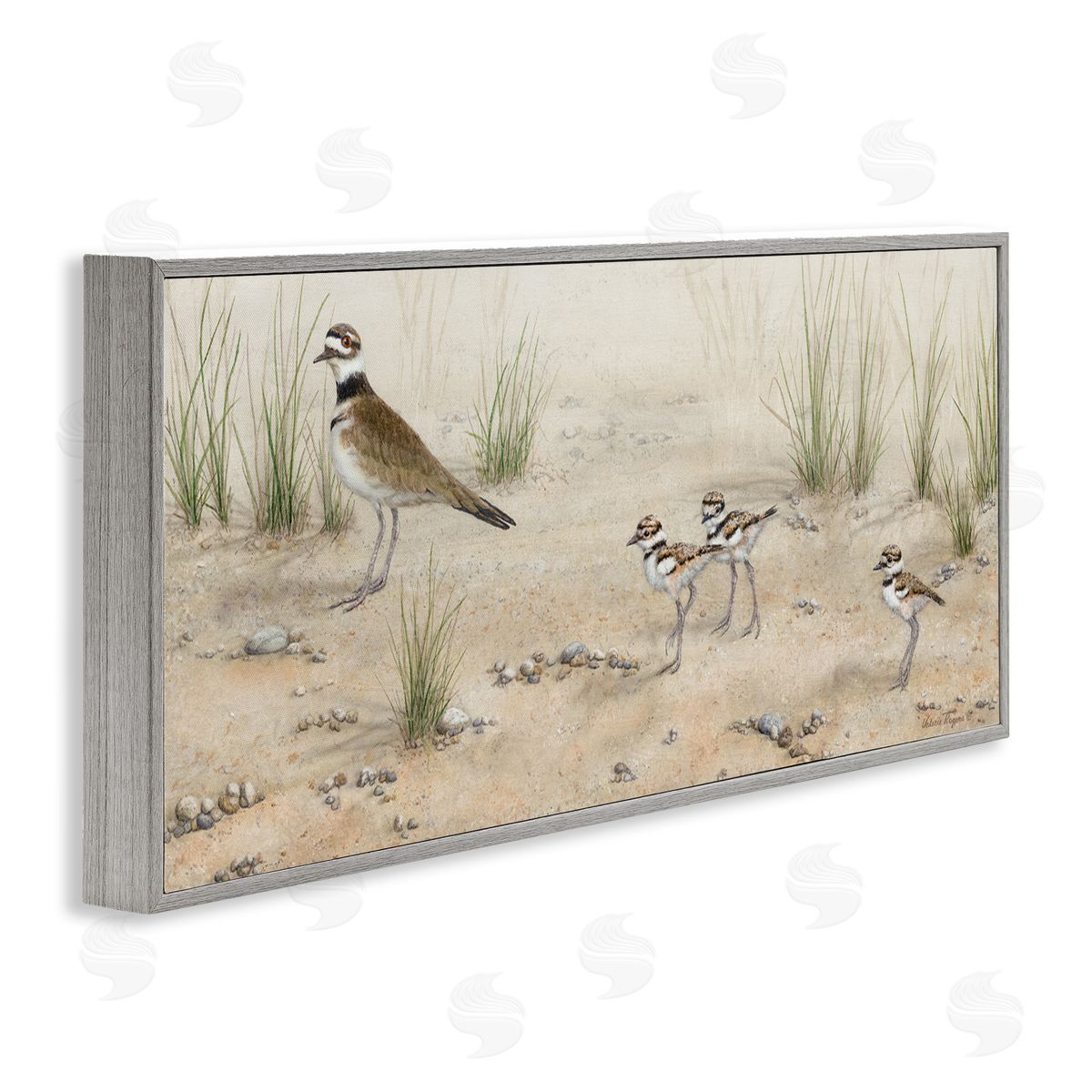 Kildeer Birds Stepping Grey Frame Print Wall Art, Home Decor by Valerie Rogers