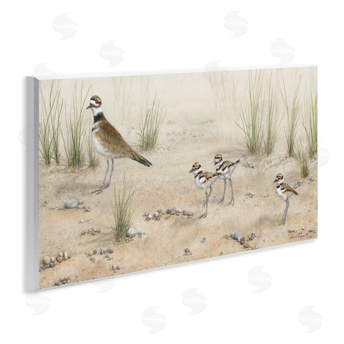 Kildeer Birds Stepping Wood Plaque Wall Art, Home Decor by Valerie Rogers