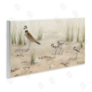 Valerie Rogers | Kildeer Birds Stepping