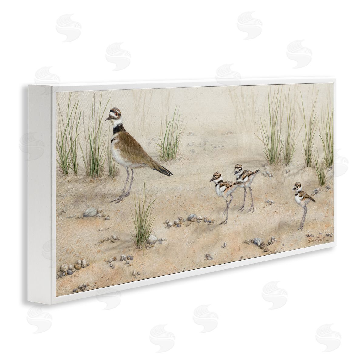Kildeer Birds Stepping White Frame Print Wall Art, Home Decor by Valerie Rogers