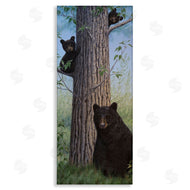 Valerie Rogers | Mama Bear & Cubs