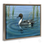 Valerie Rogers | Pintail Loon in Pond