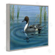 Valerie Rogers | Pintail Loon in Pond