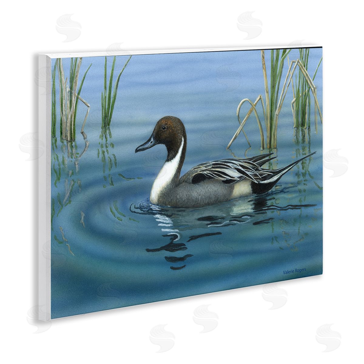 Pintail Loon in Pond Wood Plaque Wall Art, Home Decor by Valerie Rogers