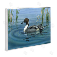 Valerie Rogers | Pintail Loon in Pond