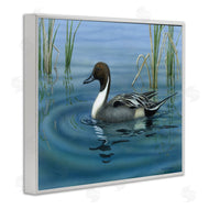 Valerie Rogers | Pintail Loon in Pond