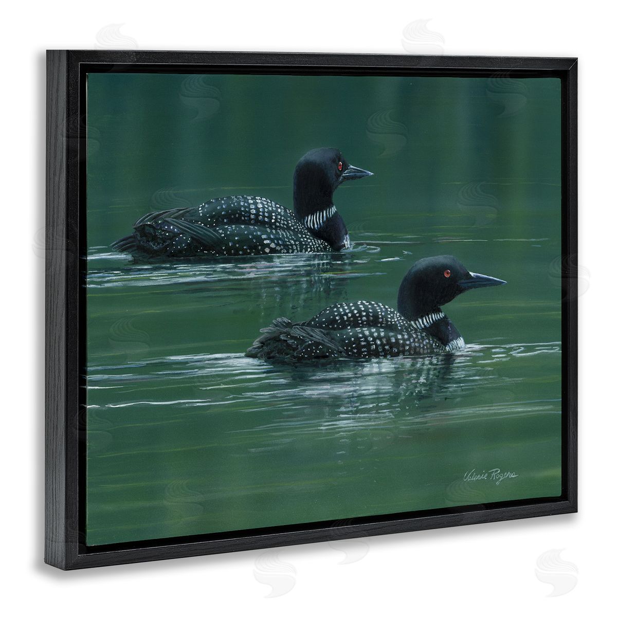 Peaceful Loon Duo Black Floating Frame Canvas Wall Art, Home Decor by Valerie Rogers