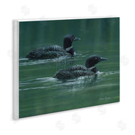 Valerie Rogers | Peaceful Loon Duo