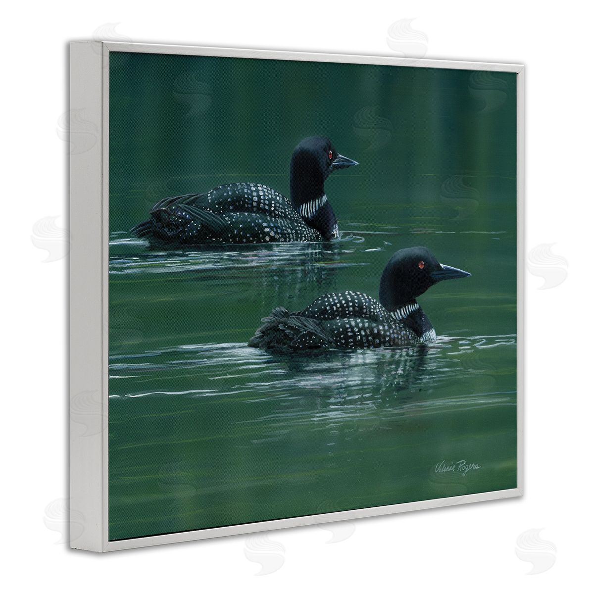 Peaceful Loon Duo White Frame Print Wall Art, Home Decor by Valerie Rogers