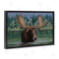 Valerie Rogers | Moose Swimming in Lake