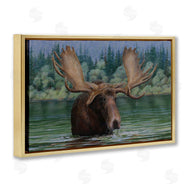 Valerie Rogers | Moose Swimming in Lake