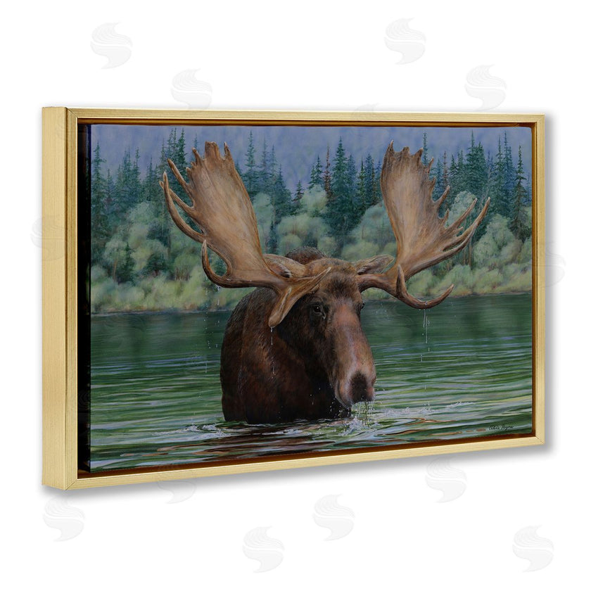 Valerie Rogers | Moose Swimming in Lake