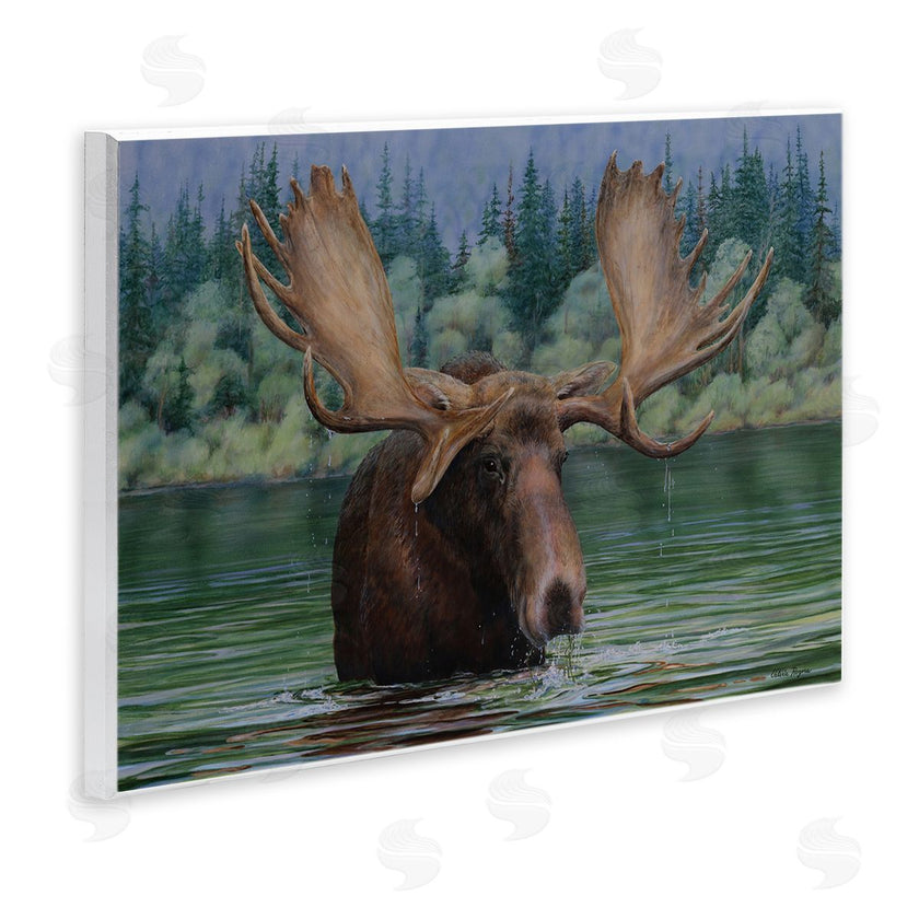 Valerie Rogers | Moose Swimming in Lake