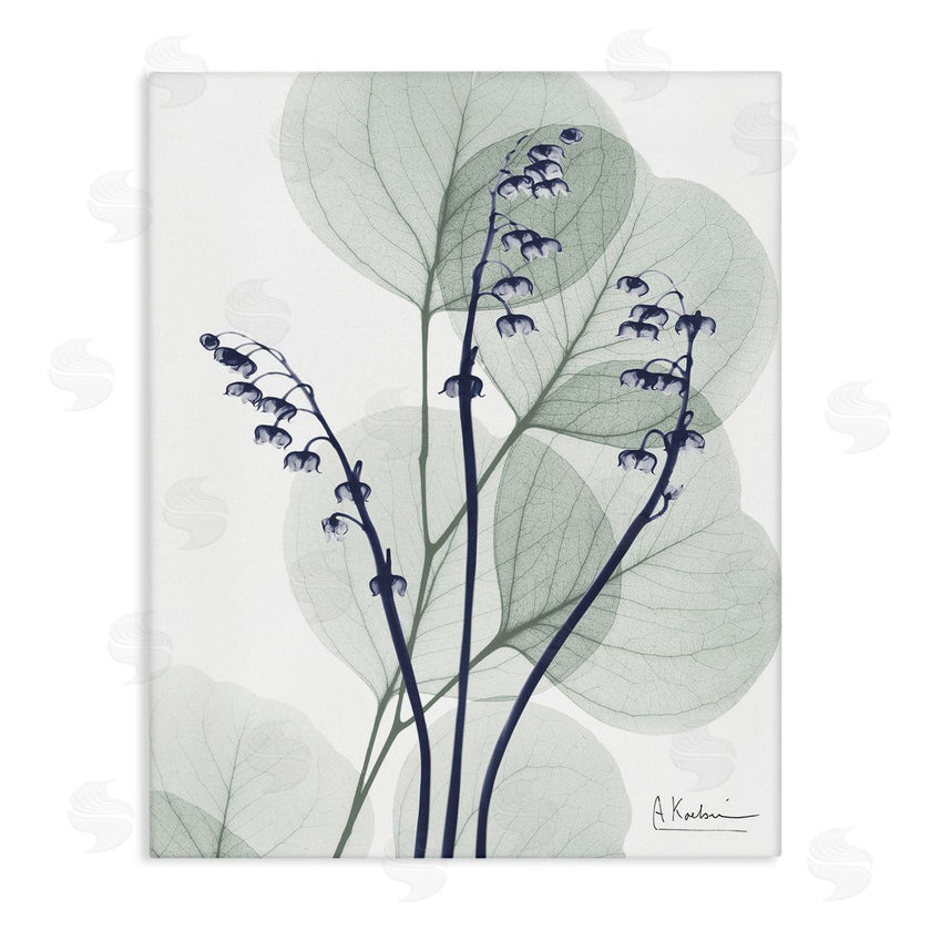 Albert Koetsier | Serene Modern Eucalyptus