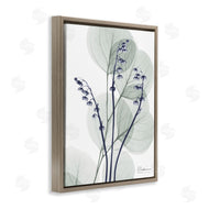 Albert Koetsier | Serene Modern Eucalyptus