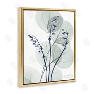 Albert Koetsier | Serene Modern Eucalyptus