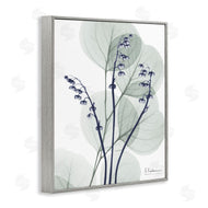 Albert Koetsier | Serene Modern Eucalyptus