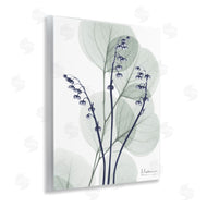 Albert Koetsier | Serene Modern Eucalyptus