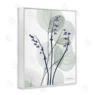 Albert Koetsier | Serene Modern Eucalyptus