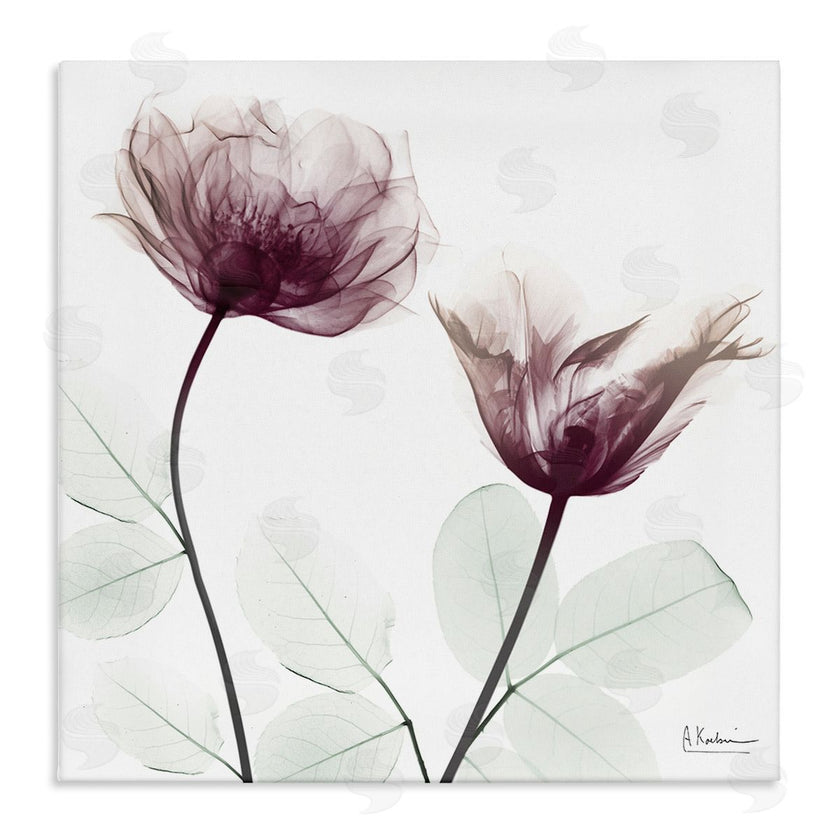 Albert Koetsier | Minimalist Translucent Flowers
