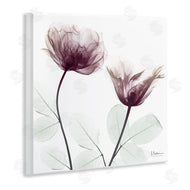 Albert Koetsier | Minimalist Translucent Flowers