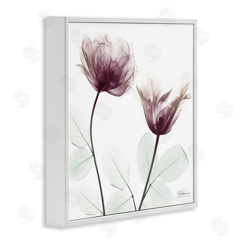 Albert Koetsier | Minimalist Translucent Flowers