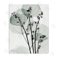 Albert Koetsier | Fresh Minimalist Herbs