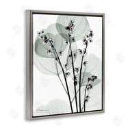Albert Koetsier | Fresh Minimalist Herbs