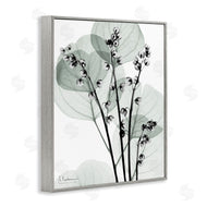 Albert Koetsier | Fresh Minimalist Herbs