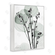 Albert Koetsier | Fresh Minimalist Herbs