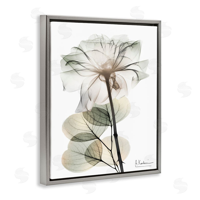 Albert Koetsier | Modern Minimalist Buds
