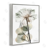 Albert Koetsier | Modern Minimalist Buds