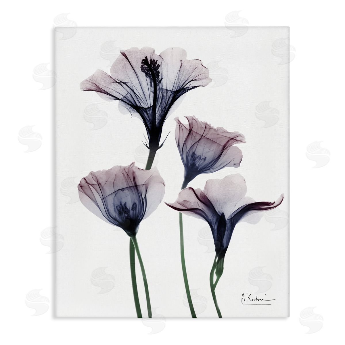 Bountiful Dusk Flowers Canvas Wall Art, Home Decor by Albert Koetsier