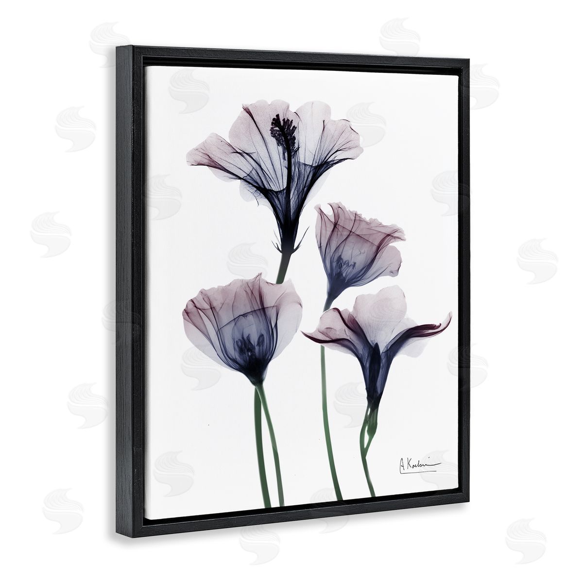 Bountiful Dusk Flowers Black Floating Frame Canvas Wall Art, Home Decor by Albert Koetsier