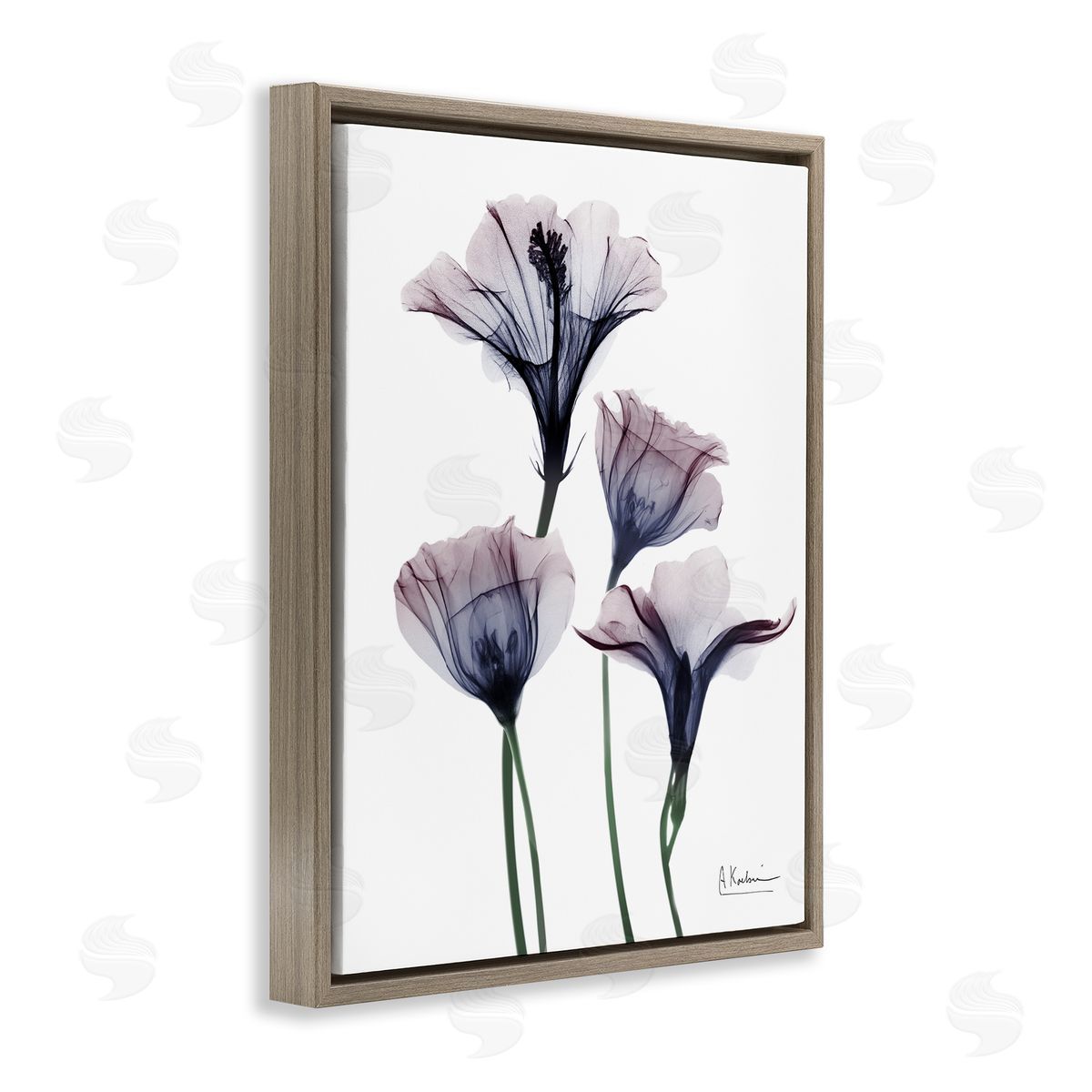 Bountiful Dusk Flowers Brown Floating Frame Canvas Wall Art, Home Decor by Albert Koetsier
