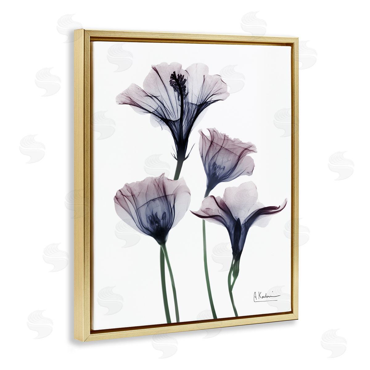 Bountiful Dusk Flowers Gold Floating Frame Canvas Wall Art, Home Decor by Albert Koetsier