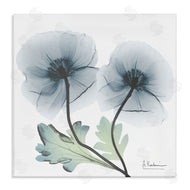 Albert Koetsier | Sapphire Florals Duo
