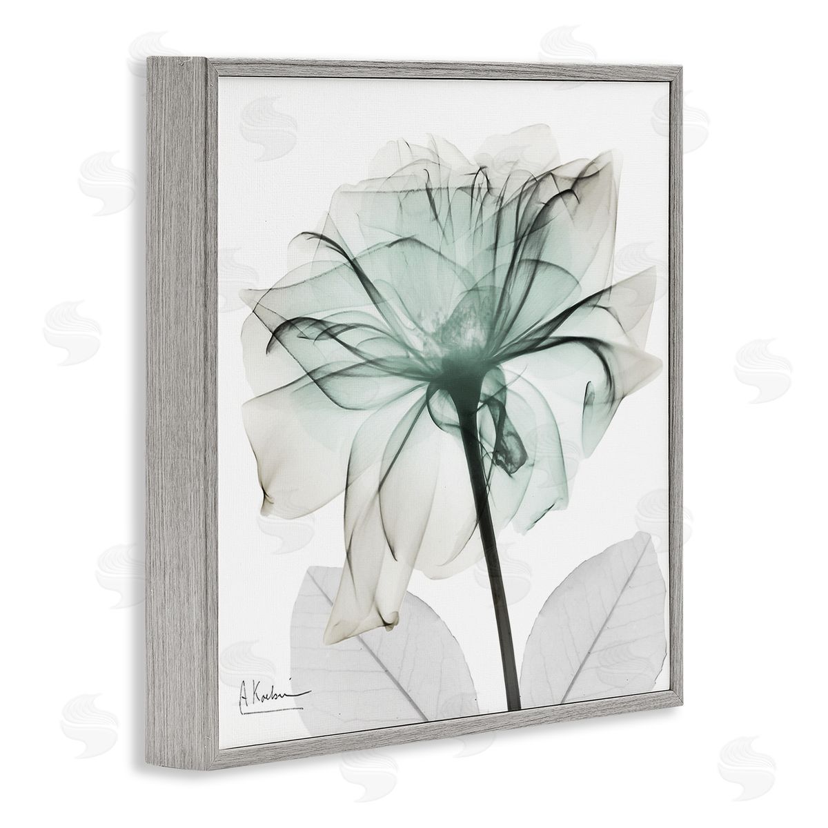 Unique Chic Flower Petal Grey Frame Print Wall Art, Home Decor by Albert Koetsier