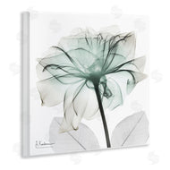 Albert Koetsier | Unique Chic Flower Petal