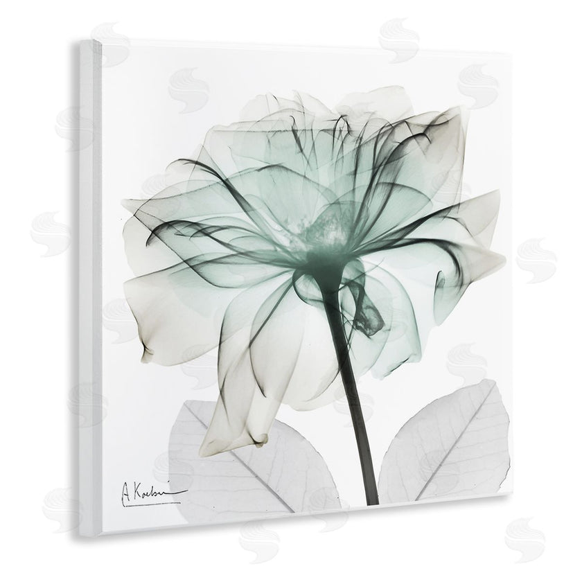 Albert Koetsier | Unique Chic Flower Petal