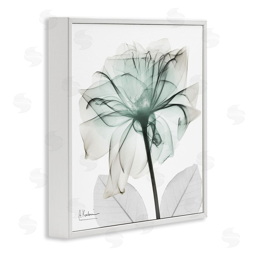 Albert Koetsier | Unique Chic Flower Petal