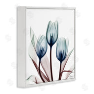 Albert Koetsier | Chic Blue Translucent Tulips