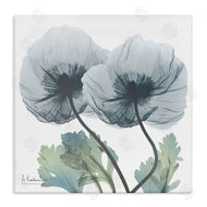 Albert Koetsier | Double Modern Flower Blossoms