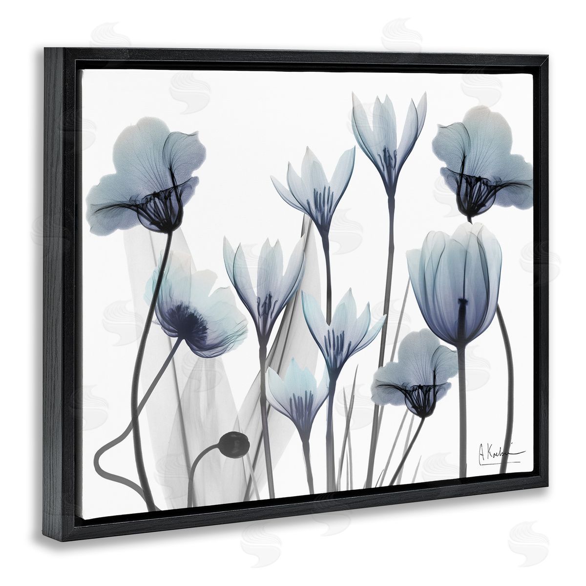 Delicate Mixed Chic Blooms Black Floating Frame Canvas Wall Art, Home Decor by Albert Koetsier