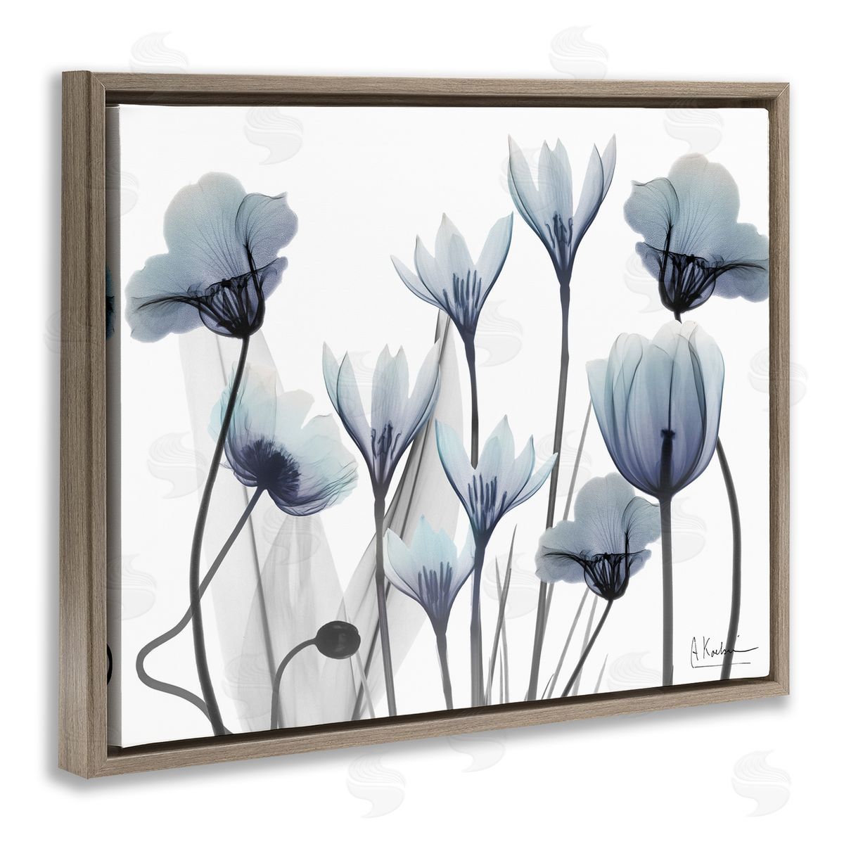 Delicate Mixed Chic Blooms Brown Floating Frame Canvas Wall Art, Home Decor by Albert Koetsier