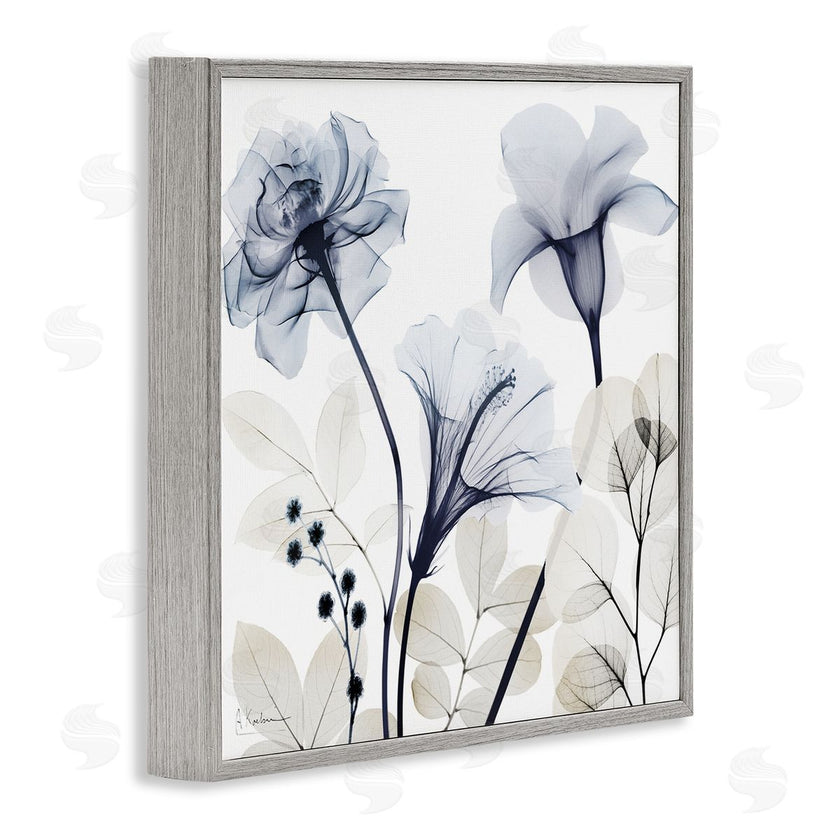 Albert Koetsier | Sophisticated Minimal Flowers