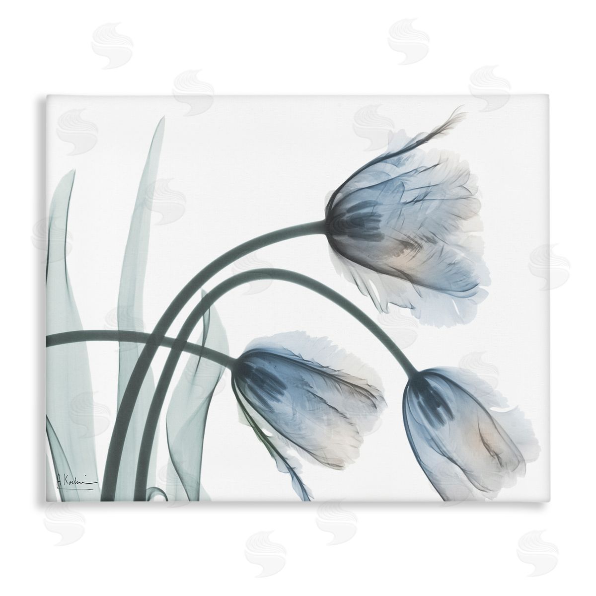 Trendy Mod Tulips Canvas Wall Art, Home Decor by Albert Koetsier