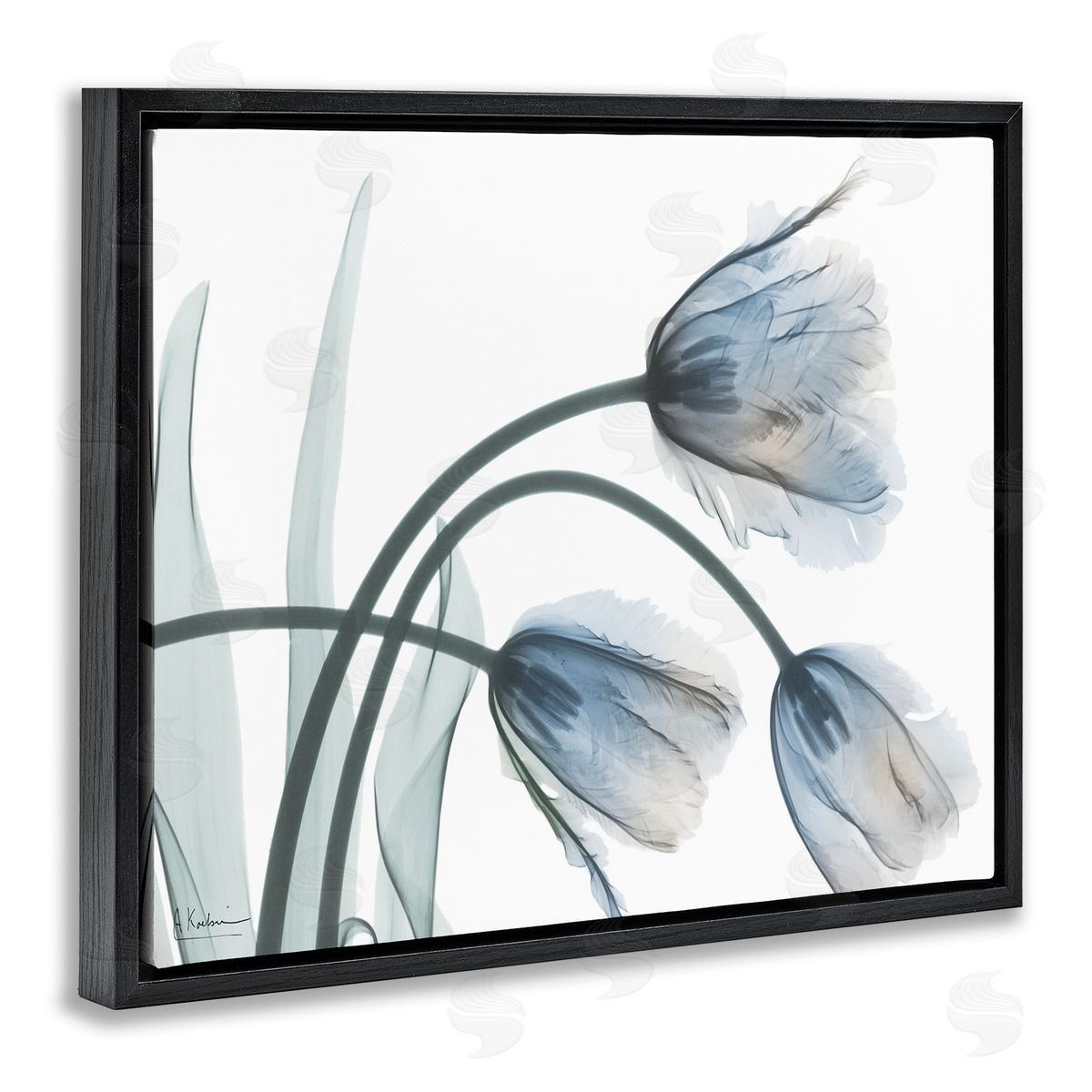 Trendy Mod Tulips Black Floating Frame Canvas Wall Art, Home Decor by Albert Koetsier