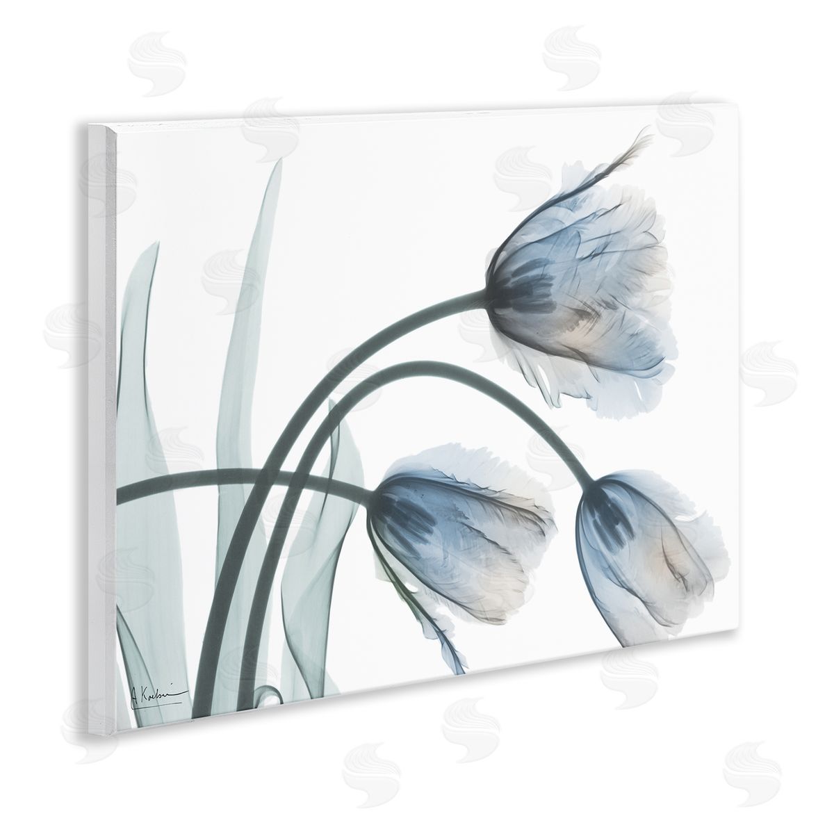 Trendy Mod Tulips Wood Plaque Wall Art, Home Decor by Albert Koetsier